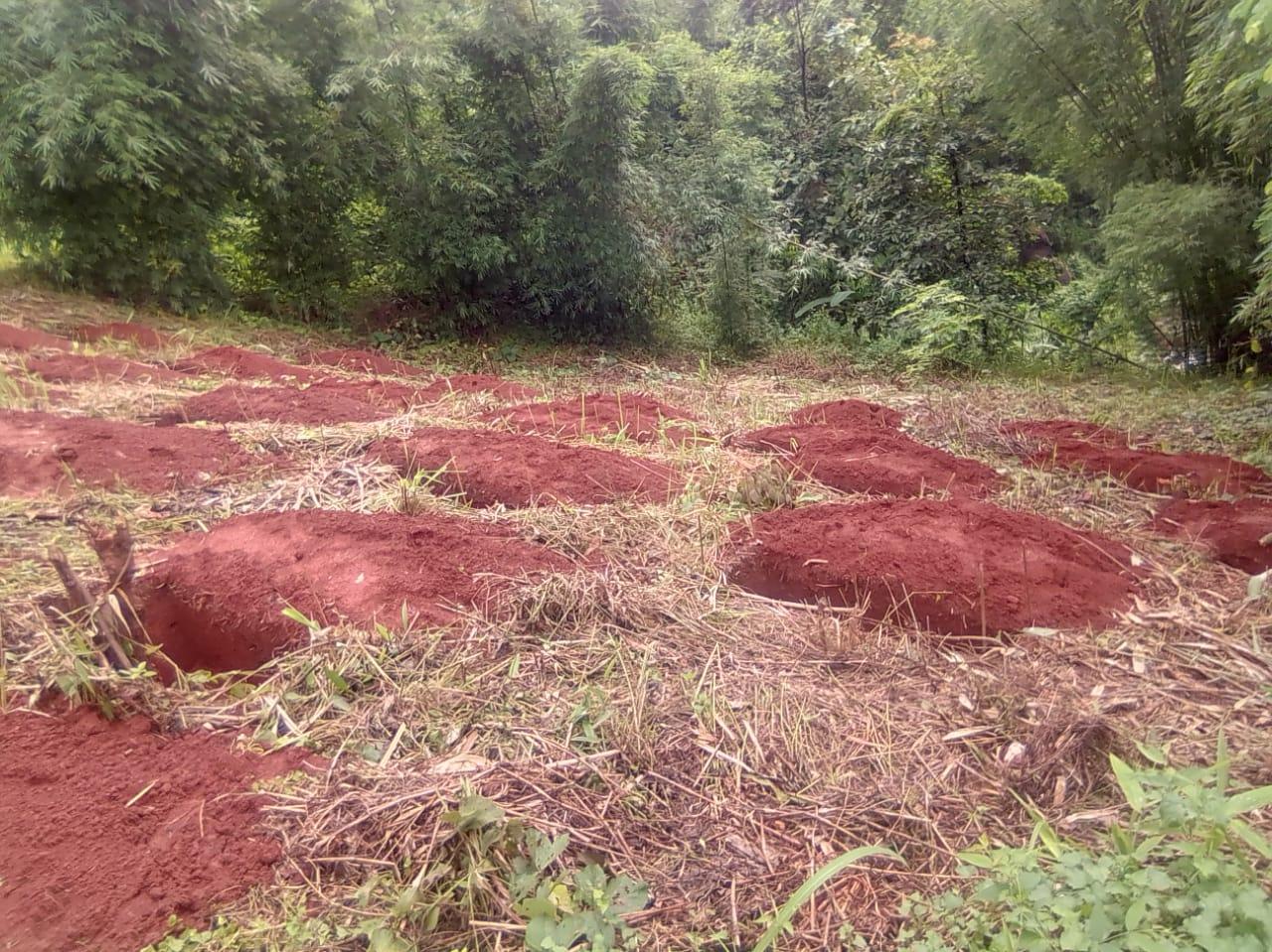 C:\Users\Lavinia Pde\AppData\Local\Microsoft\Windows\INetCache\Content.Word\IMG-20220418-WA0022.jpg